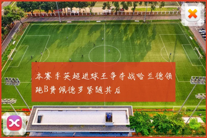 本赛季英超进球王争夺战哈兰德领跑B费佩德罗紧随其后