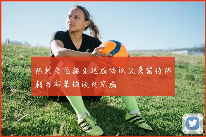 热刺与范赫克达成协议交易需待热刺与布莱顿谈判完成