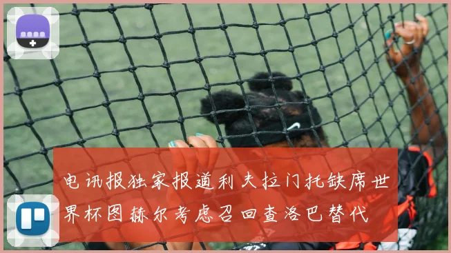 电讯报独家报道利夫拉门托缺席世界杯图赫尔考虑召回查洛巴替代