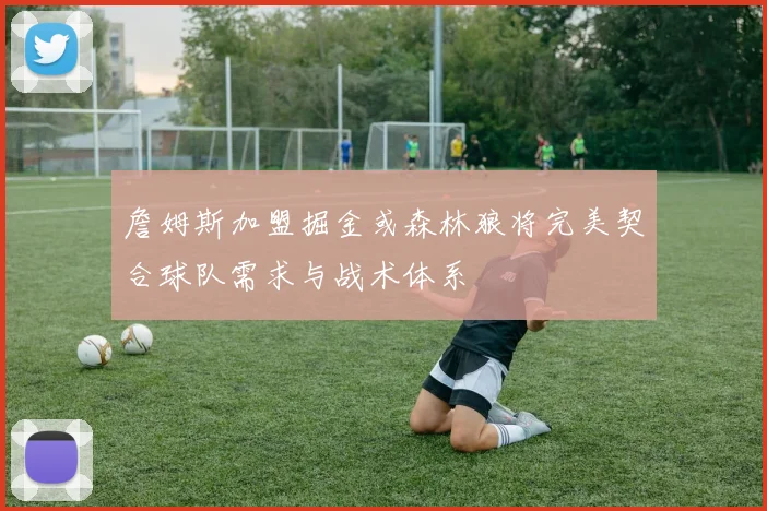 詹姆斯加盟掘金或森林狼将完美契合球队需求与战术体系