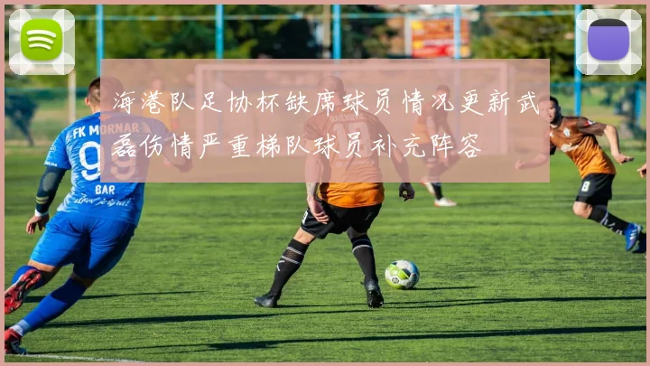 海港队足协杯缺席球员情况更新武磊伤情严重梯队球员补充阵容
