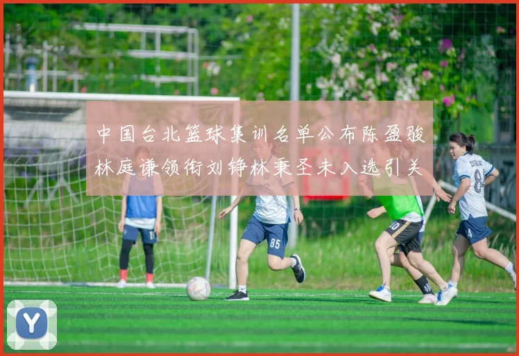中国台北篮球集训名单公布陈盈骏林庭谦领衔刘铮林秉圣未入选引关注